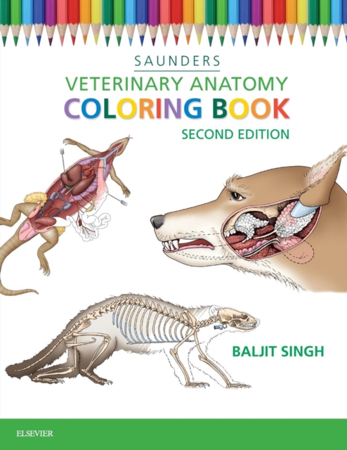 Veterinary Anatomy Coloring Book, Paperback / softback Book