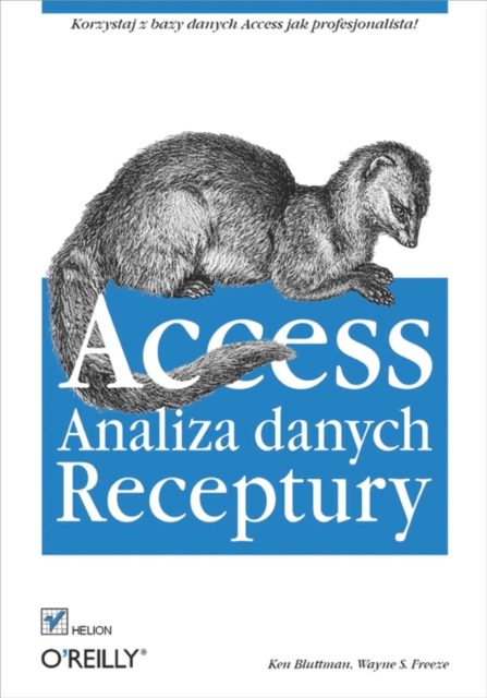 Access. Analiza danych. Receptury, PDF eBook