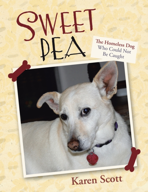 Sweet Pea : The Homeless Dog Who Could Not Be Caught, EPUB eBook