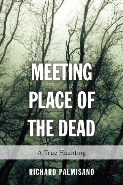 Meeting Place of the Dead : A True Haunting, Paperback / softback Book