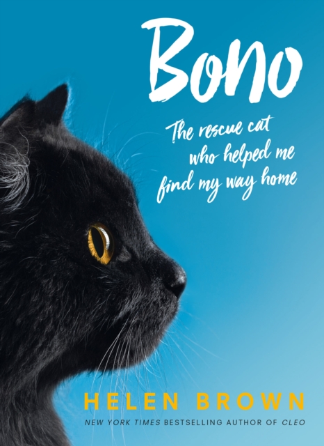 Bono : the rescue cat who helped me find my way home, EPUB eBook