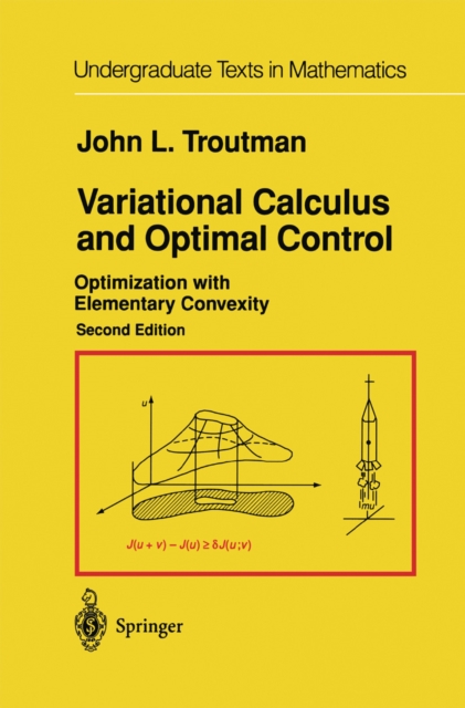 Variational Calculus and Optimal Control : Optimization with Elementary Convexity, PDF eBook