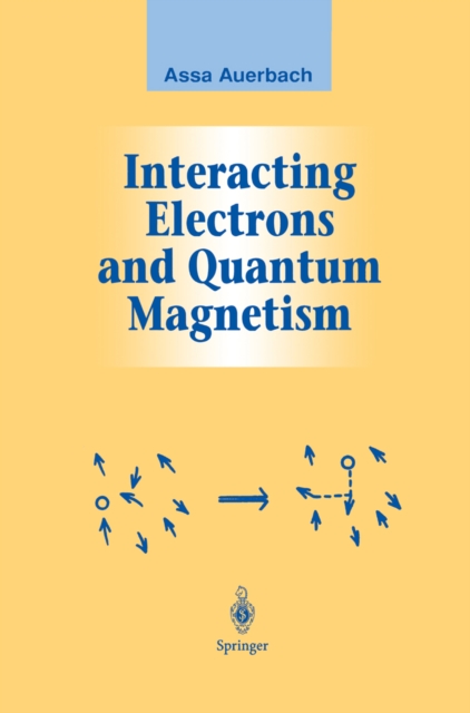 Interacting Electrons and Quantum Magnetism, PDF eBook