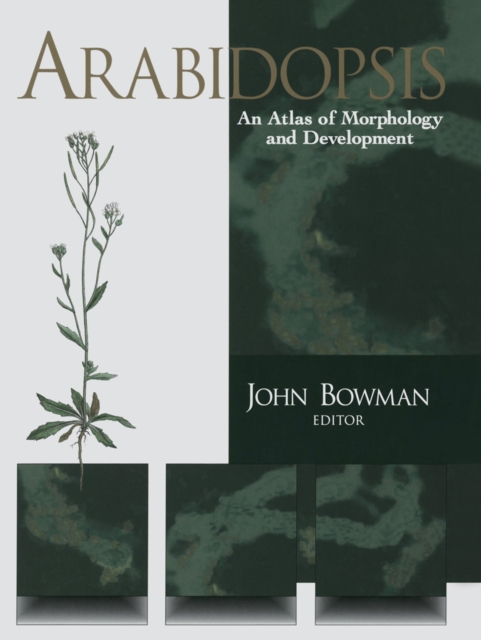 Arabidopsis : An Atlas of Morphology and Development, PDF eBook