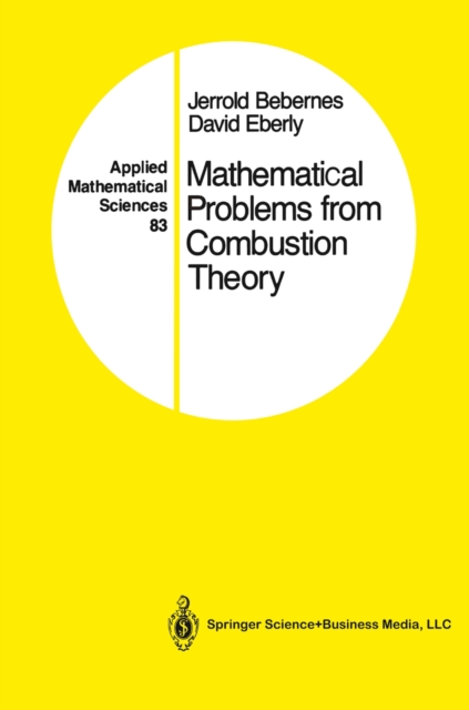 Mathematical Problems from Combustion Theory, PDF eBook
