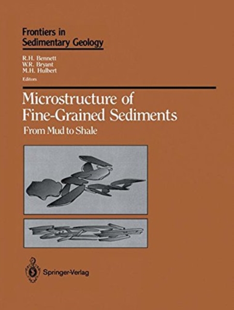 Microstructure of Fine-Grained Sediments : From Mud to Shale, Paperback / softback Book
