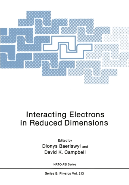 Interacting Electrons in Reduced Dimensions, PDF eBook