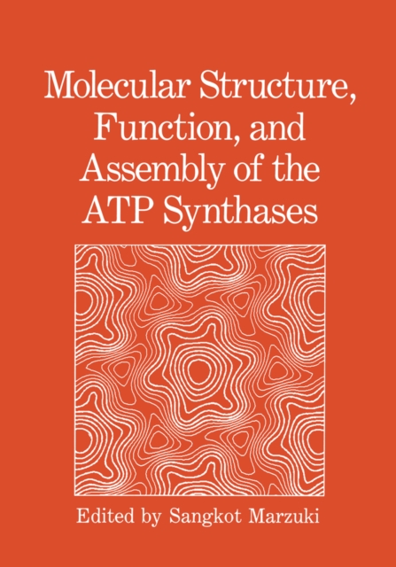 Molecular Structure, Function, and Assembly of the ATP Synthases : International Seminar, PDF eBook