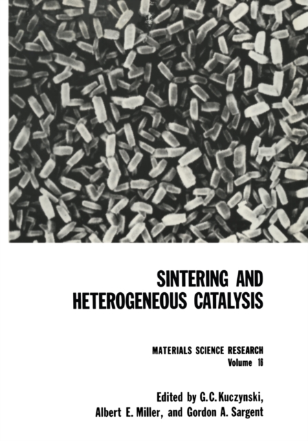 Sintering and Heterogeneous Catalysis, PDF eBook