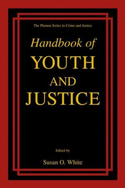 Handbook of Youth and Justice, Paperback / softback Book