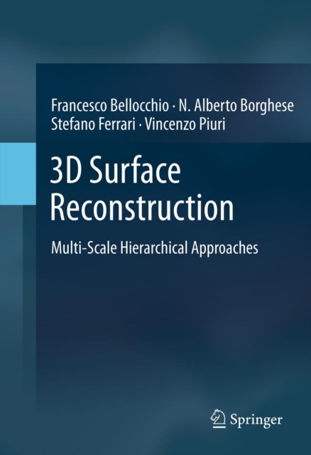3D Surface Reconstruction : Multi-Scale Hierarchical Approaches, PDF eBook