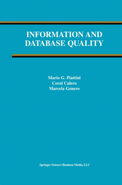 Information and Database Quality, PDF eBook