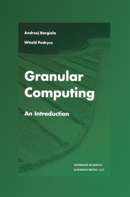Granular Computing : An Introduction, PDF eBook