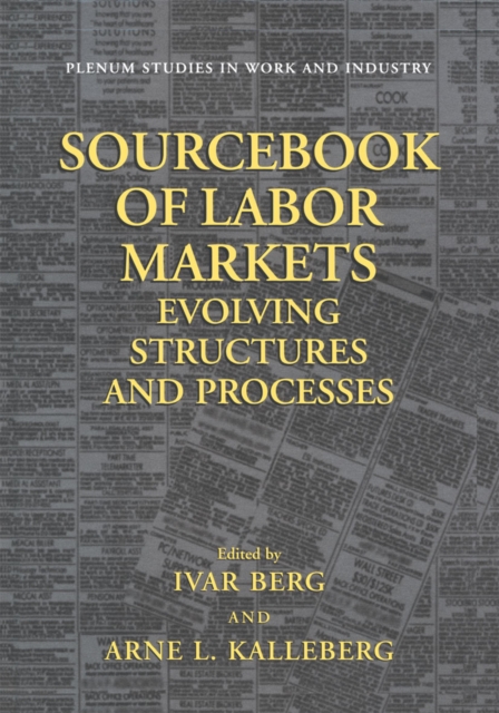Sourcebook of Labor Markets : Evolving Structures and Processes, PDF eBook