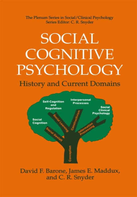 Social Cognitive Psychology : History and Current Domains, PDF eBook
