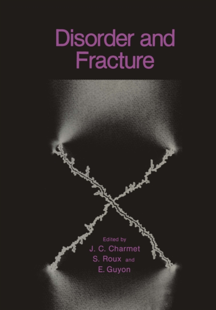 Disorder and Fracture, PDF eBook