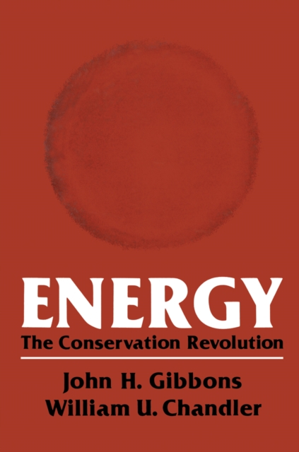 Energy : The Conservation Revolution, PDF eBook