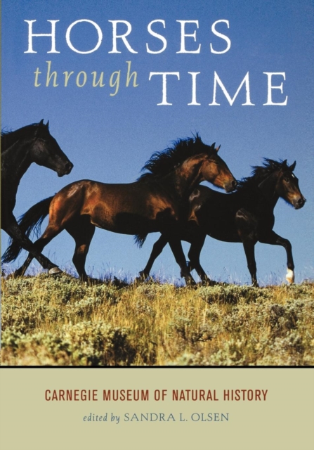 Horses Through Time, EPUB eBook