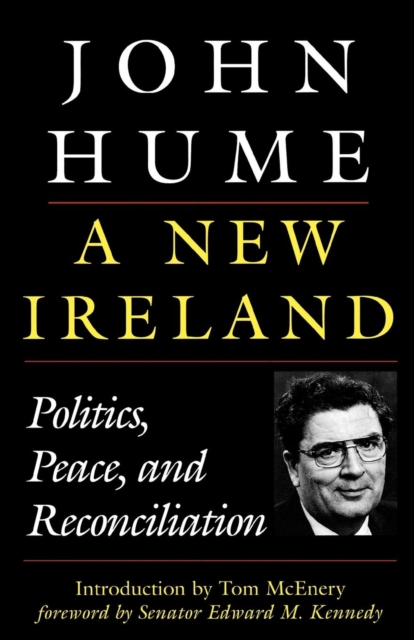 New Ireland : Politics, Peace, and Reconciliation, EPUB eBook