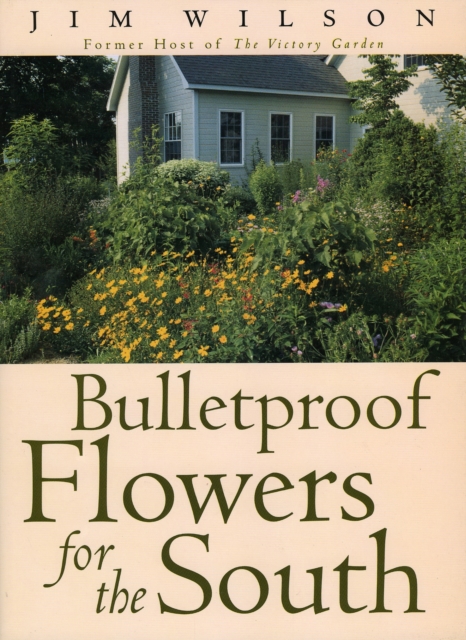 Bulletproof Flowers for the South, EPUB eBook