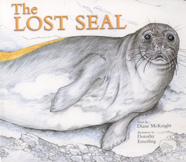 The Lost Seal, EPUB eBook