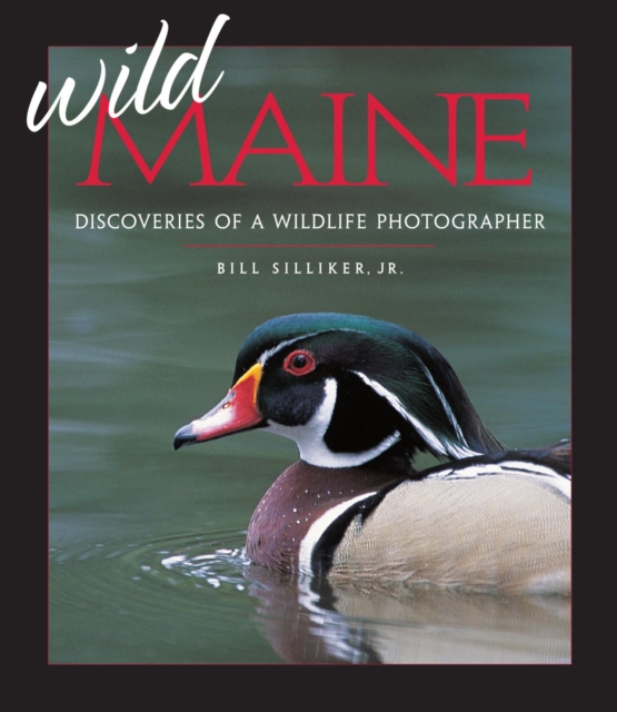 Wild Maine : Discoveries of a Wildlife Photographer, EPUB eBook