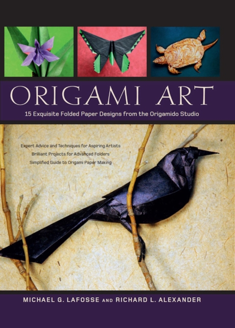 Origami Art : 15 Exquisite Folded Paper Designs from the Origamido Studio: Intermediate and Advanced Projects: Origami Book with 15 Projects, EPUB eBook