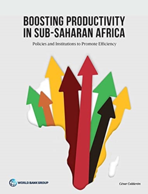 Boosting Productivity in Sub-Saharan Africa, Paperback / softback Book