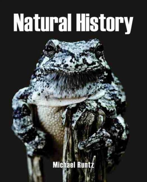 Natural History, Paperback / softback Book