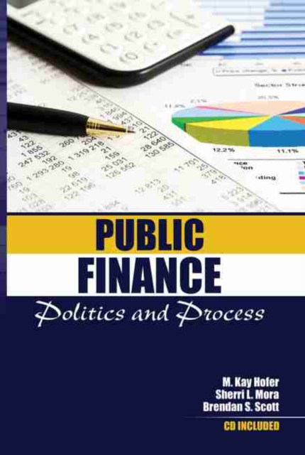 Public Finance: Politics and Process, Paperback / softback Book