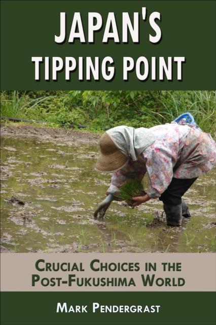 Japan's Tipping Point: Crucial Choices in the Post-Fukushima World, EPUB eBook