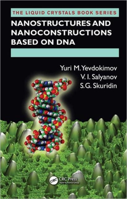 Nanostructures and Nanoconstructions based on DNA, Hardback Book