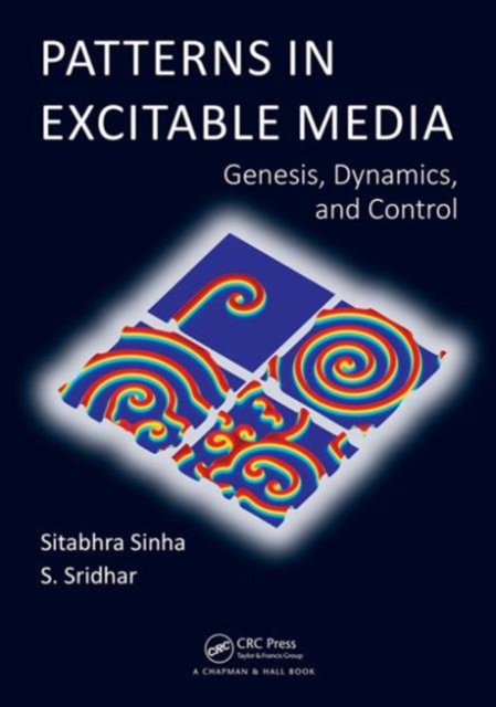 Patterns in Excitable Media : Genesis, Dynamics, and Control, Hardback Book
