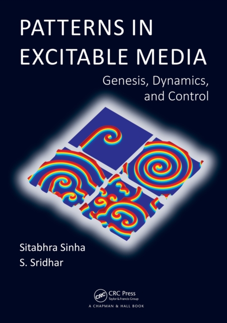 Patterns in Excitable Media : Genesis, Dynamics, and Control, PDF eBook