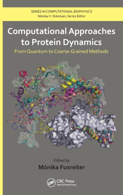 Computational Approaches to Protein Dynamics : From Quantum to Coarse-Grained Methods, Hardback Book