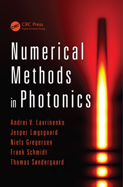 Numerical Methods in Photonics, PDF eBook