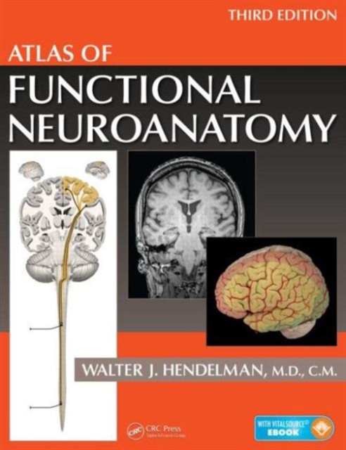 Atlas of Functional Neuroanatomy, Paperback / softback Book