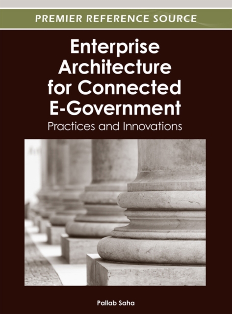 Enterprise Architecture for Connected E-Government: Practices and Innovations, PDF eBook