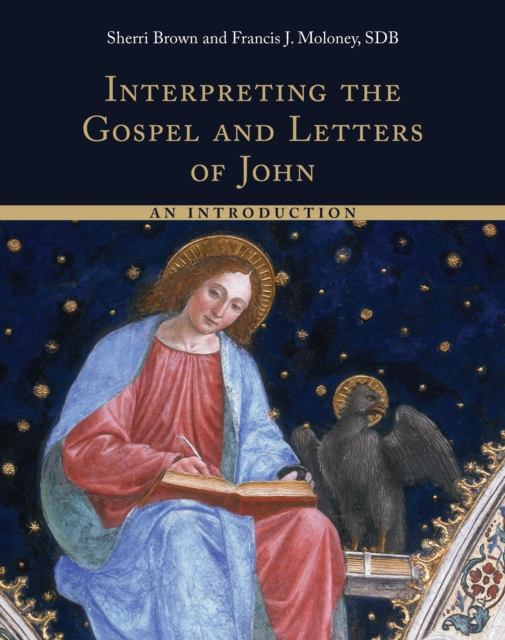 Interpreting the Gospel and Letters of John : An Introduction, EPUB eBook