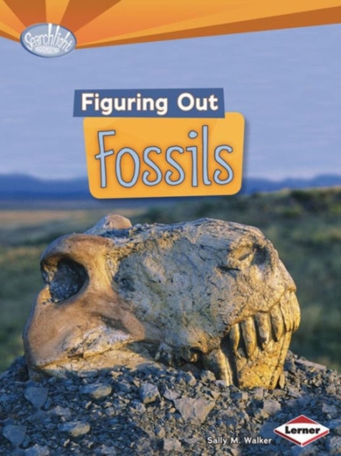Figuring Out Fossils, Paperback / softback Book