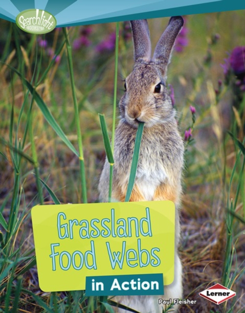Grassland Food Webs in Action, PDF eBook