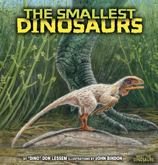 The Smallest Dinosaurs, PDF eBook