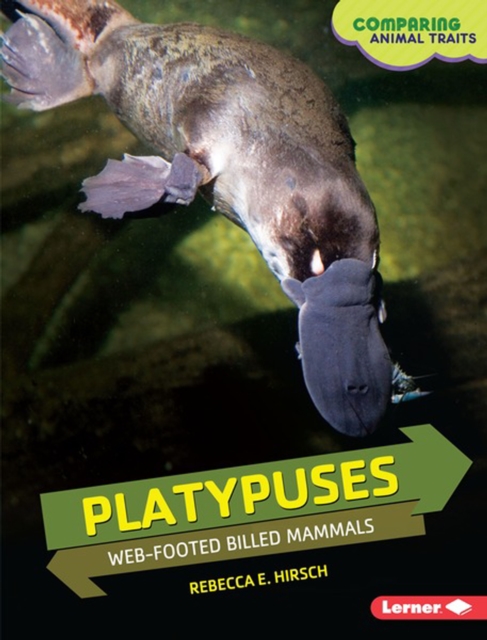 Platypuses : Web-Footed Billed Mammals, PDF eBook