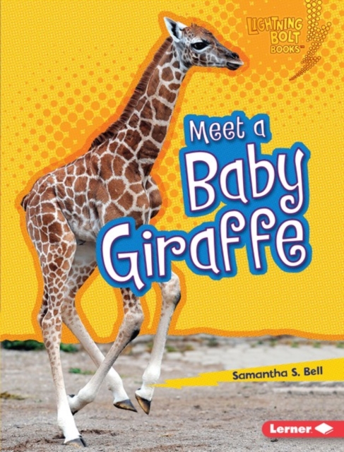 Meet a Baby Giraffe, PDF eBook
