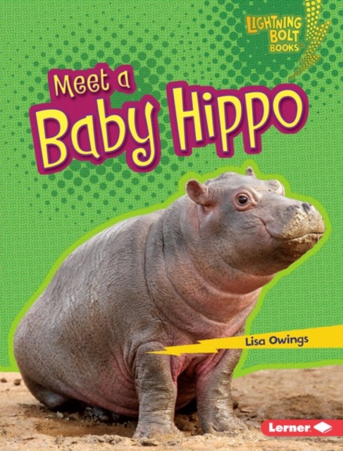 Meet a Baby Hippo, PDF eBook