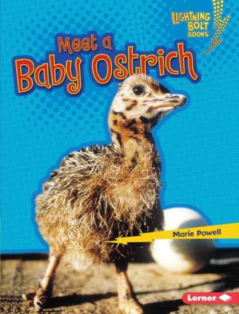 Meet a Baby Ostrich, PDF eBook