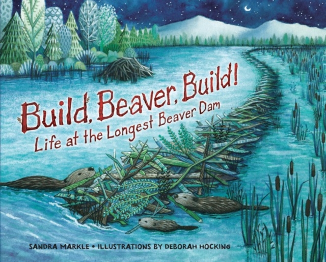 Build, Beaver, Build! : Life at the Longest Beaver Dam, PDF eBook
