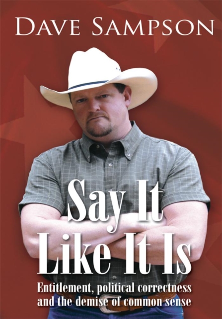 Say It Like It Is : Entitlement, Political Correctness and the Demise of Common Sense, EPUB eBook