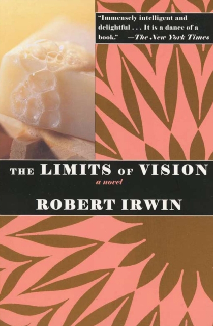 The Limits of Vision : A Novel, EPUB eBook