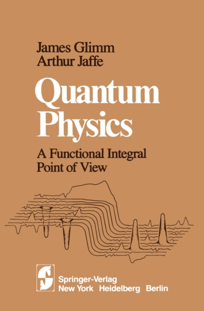 Quantum Physics : A Functional Integral Point of View, PDF eBook